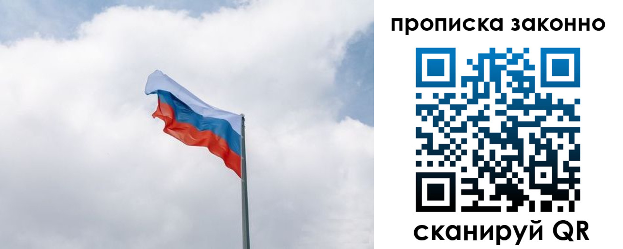 прописка поиск в Брянске